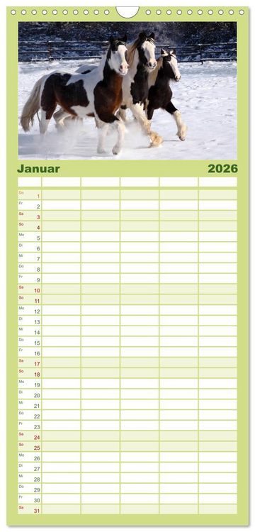 Produktbild: Familienplaner 2026 - Irish Tinker mit 5 Spalten (Wandkalender, 21 x 45 cm) CALVENDO