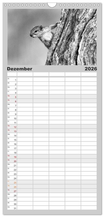 Produktbild: Familienplaner 2026 - Afrika Schwarz - Weiss mit 5 Spalten (Wandkalender, 21 x 45 cm) CALVENDO