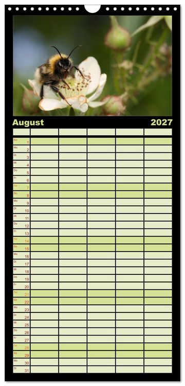 Produktbild: Familienplaner 2027 - Verborgene Wunder mit 5 Spalten (Wandkalender, 21 x 45 cm) CALVENDO