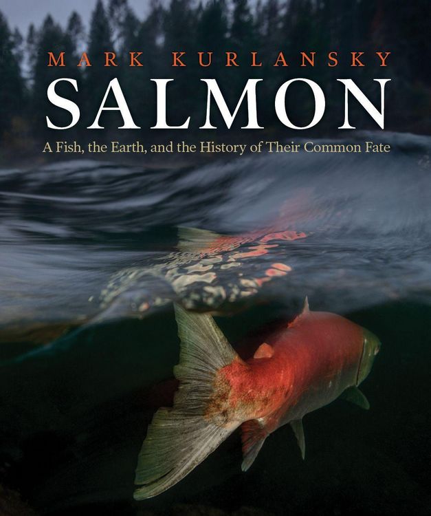 Produktbild: Salmon