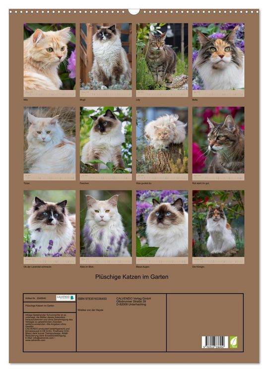 Produktbild: Pl&uuml;schige Katzen im Garten (Wandkalender 2026 DIN A2 hoch), CALVENDO Monatskalender
