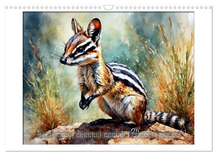 Produktbild: Liebenswerte Beuteltiere (Wandkalender 2026 DIN A3 quer), CALVENDO Monatskalender