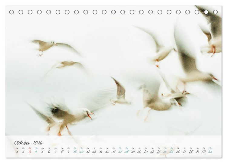Produktbild: Sehnsucht Meer - Poesie der Stille (Tischkalender 2026 DIN A5 quer), CALVENDO Monatskalender