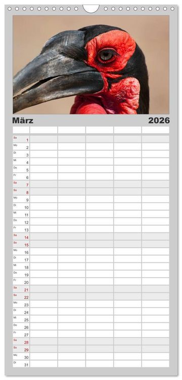 Produktbild: Familienplaner 2026 - S&uuml;dafrika mit 5 Spalten (Wandkalender, 21 x 45 cm) CALVENDO