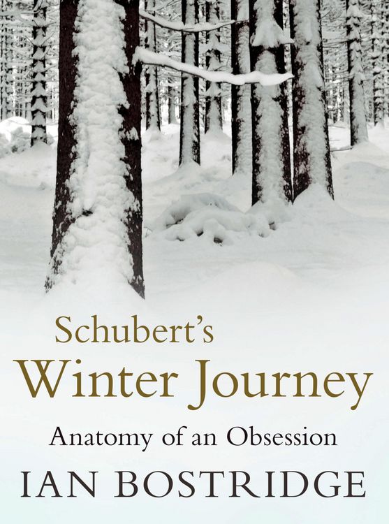 Produktbild: Schubert's Winter Journey