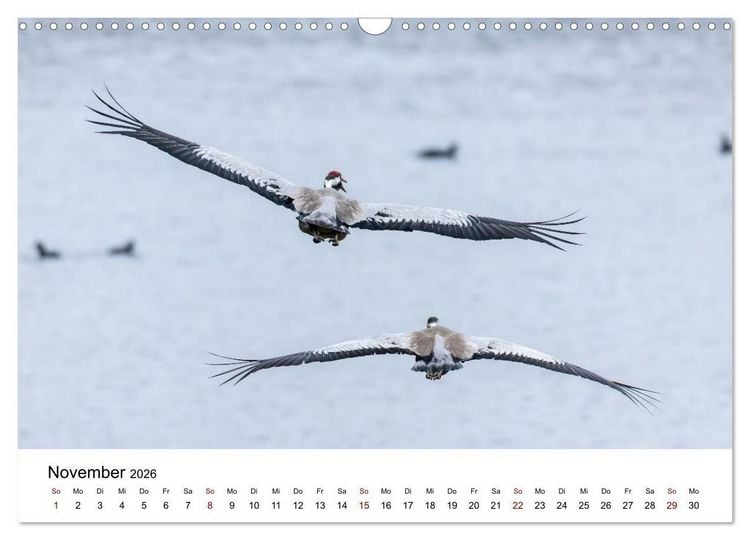 Produktbild: Kraniche im Erzgebirge (Wandkalender 2026 DIN A3 quer), CALVENDO Monatskalender
