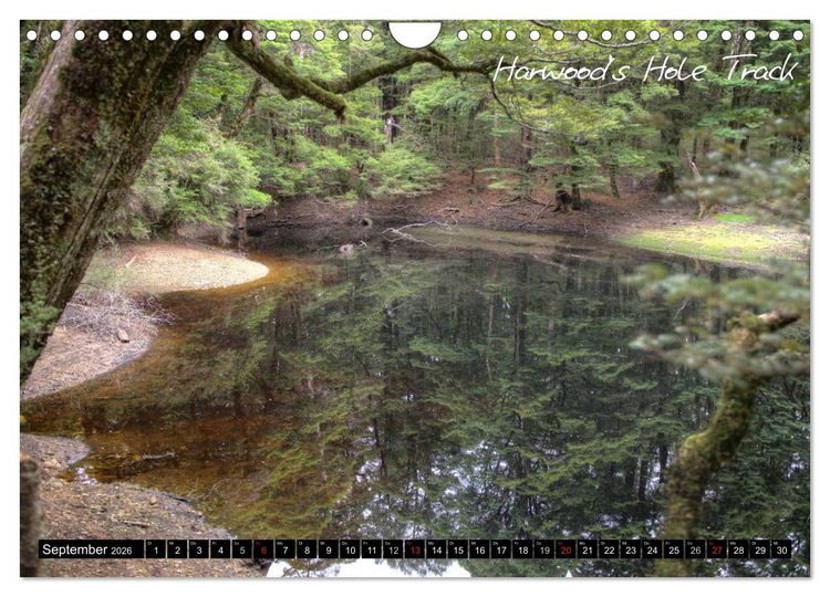 Produktbild: Neuseeland (Wandkalender 2026 DIN A4 quer), CALVENDO Monatskalender