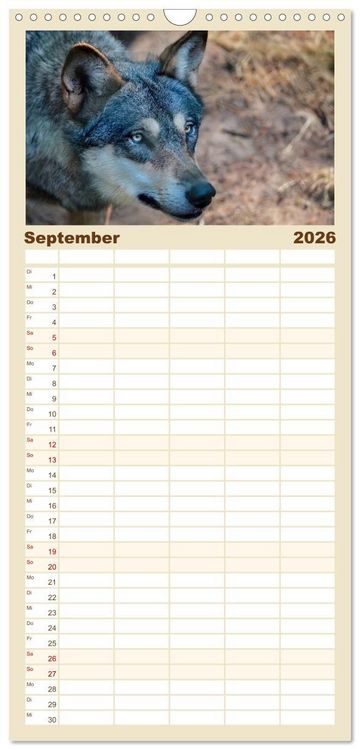 Produktbild: Familienplaner 2026 - W&ouml;lfe - sie sind wieder da mit 5 Spalten (Wandkalender, 21 x 45 cm) CALVENDO