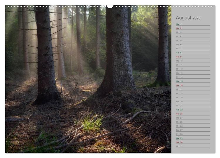Produktbild: Planungskalender M&auml;rchenwald 2026 (hochwertiger Premium Wandkalender 2026 DIN A2 quer), Kunstdruck in Hochglanz