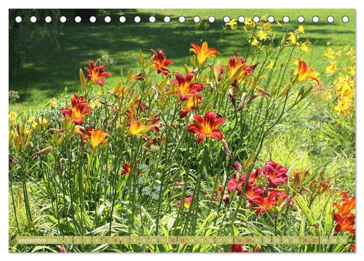 Produktbild: Lys d'un jour (Calendrier de bureau 2026 DIN A5 vertical), CALVENDO calendrier mensuel