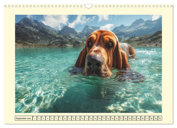 Produktbild: Bloodhound Momente. Zielstrebige Schn&uuml;ffler mit treuer Seele (Wandkalender 2026 DIN A3 quer), CALVENDO Monatskalender