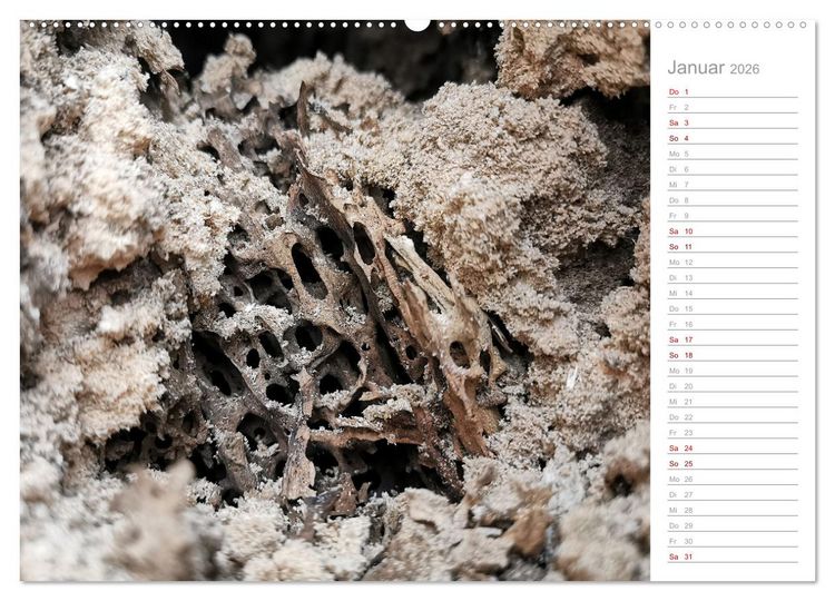 Produktbild: Abstrakte Umwelt (Wandkalender 2026 DIN A2 quer), CALVENDO Monatskalender