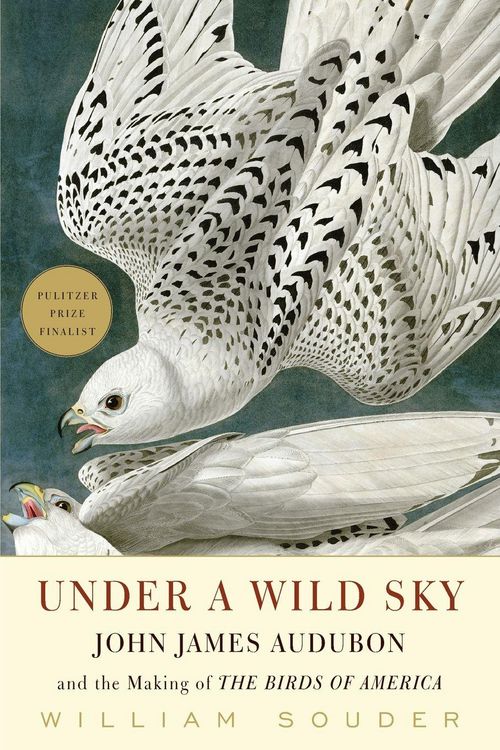Produktbild: Under a Wild Sky