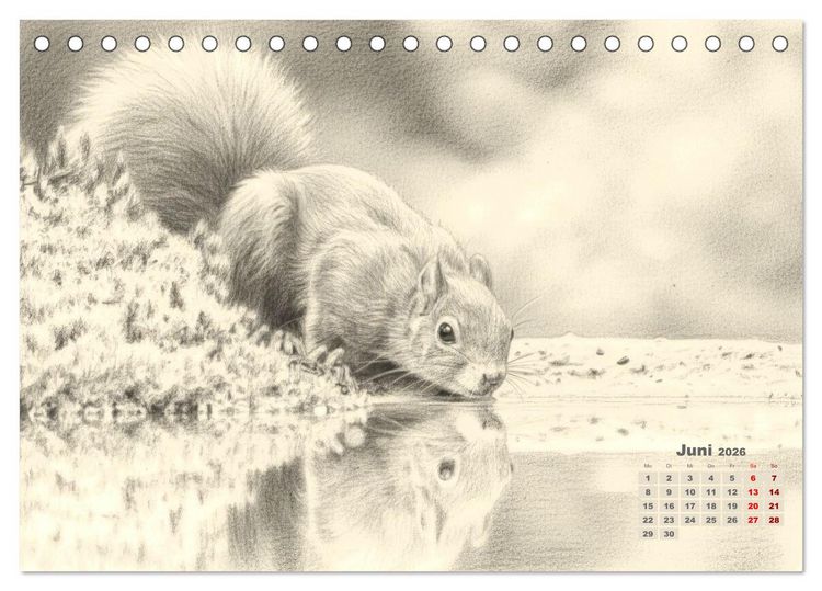 Produktbild: Wilde Seelen - Tierische Momente in Graphit (Tischkalender 2026 DIN A5 quer), CALVENDO Monatskalender
