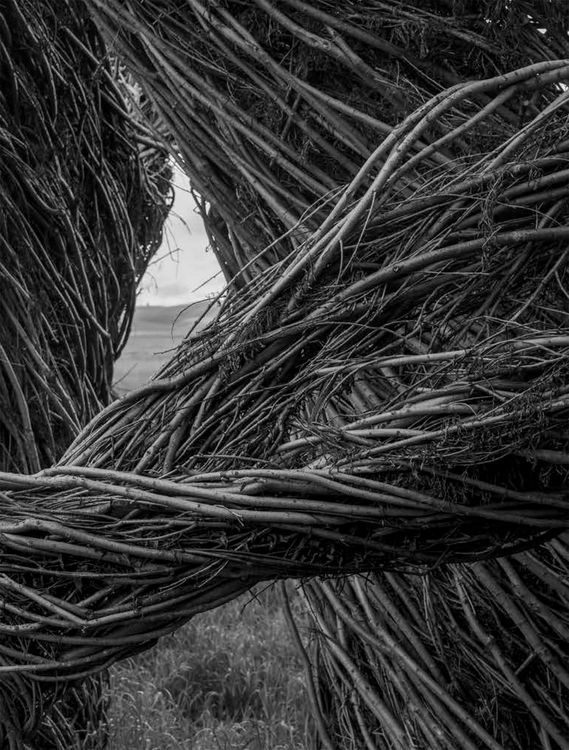 Produktbild: Patrick Dougherty James Florio: Sticks