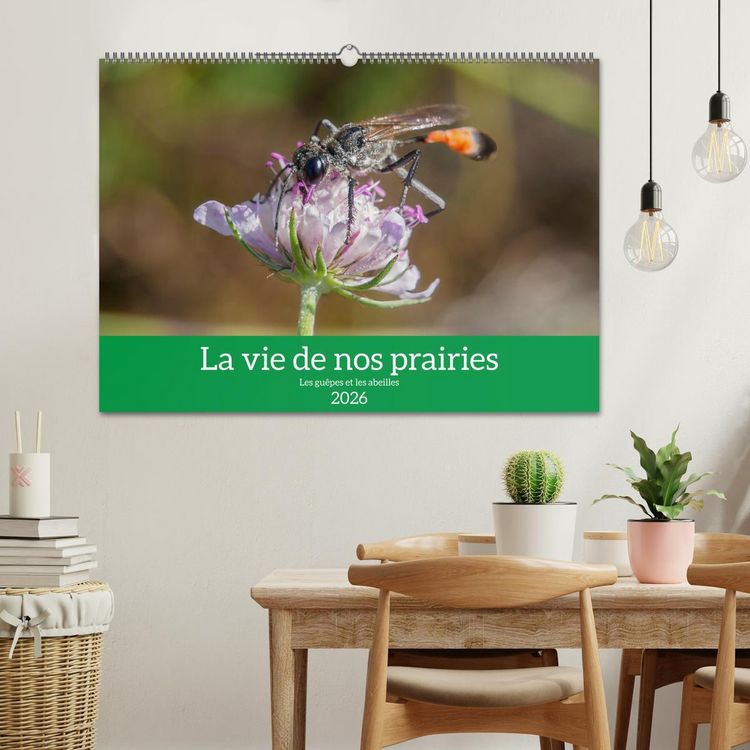 Produktbild: La vie de nos prairies - Les gu&ecirc;pes et les abeilles (Calendrier mural 2026 DIN A2 vertical), CALVENDO calendrier mensuel