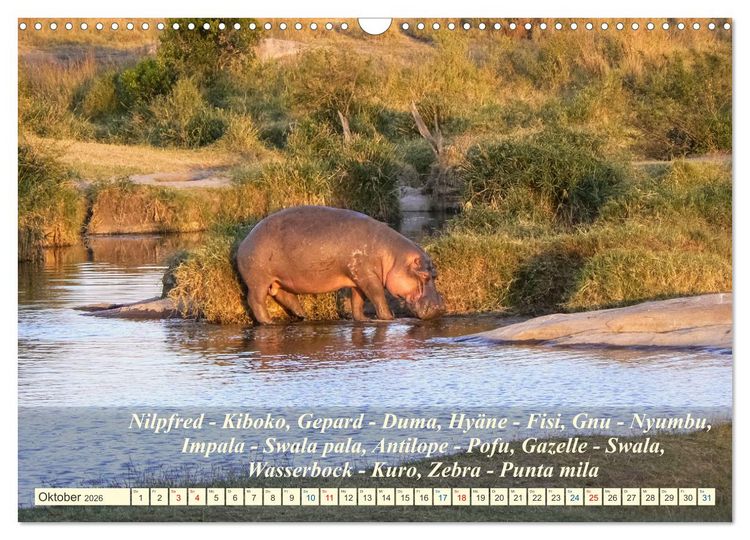 Produktbild: Jambo Kenya (Wandkalender 2026 DIN A3 quer), CALVENDO Monatskalender