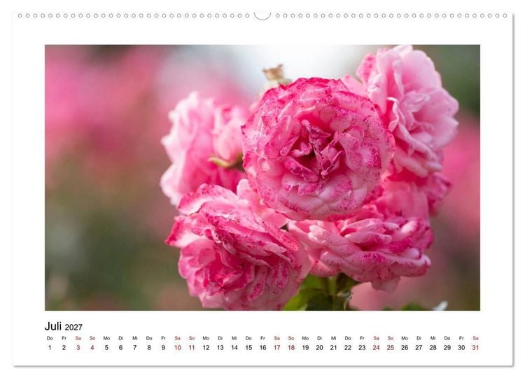 Produktbild: Rosa Bl&uuml;tentraum (hochwertiger Premium Wandkalender 2027 DIN A2 quer), Kunstdruck in Hochglanz