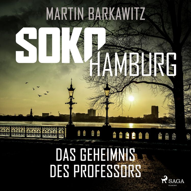 Produktbild: SoKo Hamburg: Das Geheimnis des Professors (Ein Fall f&uuml;r Heike Stein, Band 9)