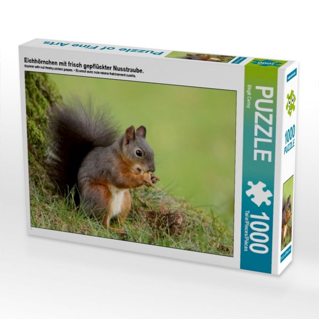 Produktbild: Eichh&ouml;rnchen mit frisch gepfl&uuml;ckter Nusstraube. (Puzzle)