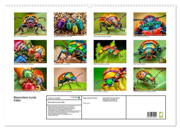 Produktbild: Besondere bunte K&auml;fer (Wandkalender 2026 DIN A2 quer), CALVENDO Monatskalender