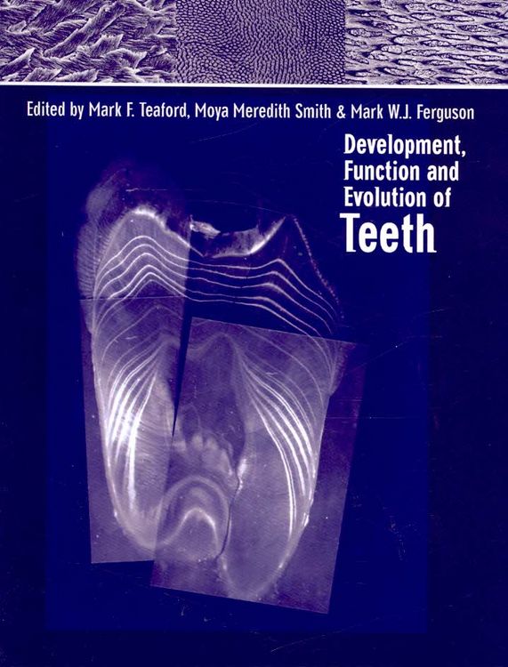 Produktbild: Development, Function and Evolution of Teeth