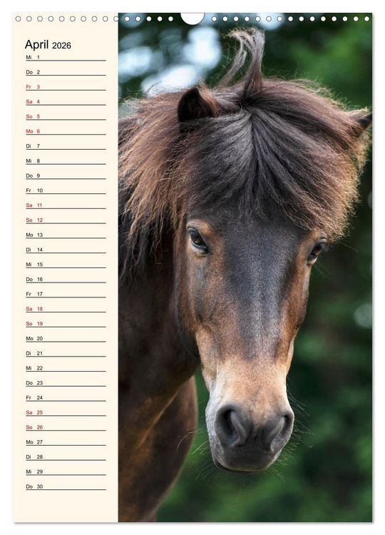 Produktbild: Isl&auml;nder Geburtstagskalender (Wandkalender 2026 DIN A3 hoch), CALVENDO Monatskalender