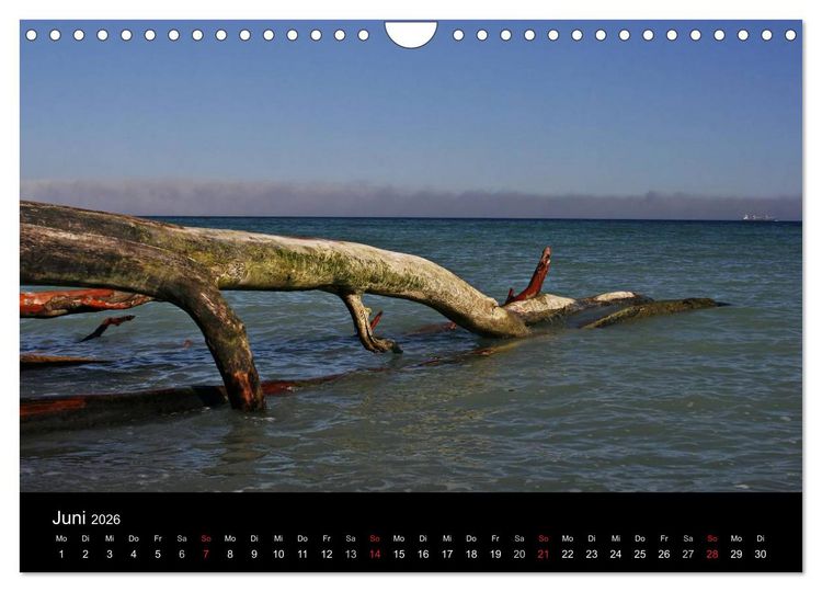 Produktbild: R&uuml;gen (Wandkalender 2026 DIN A4 quer), CALVENDO Monatskalender