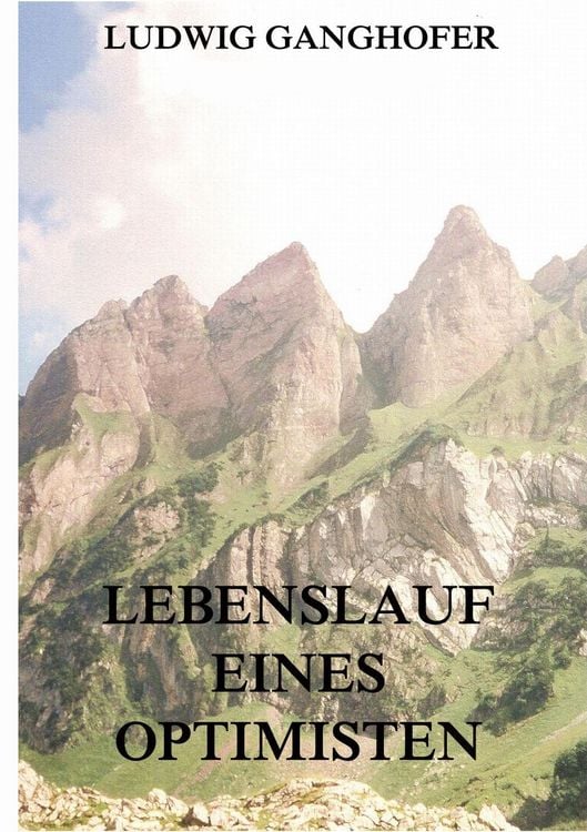 Produktbild: Lebenslauf eines Optimisten