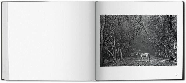 Produktbild: Sebasti&atilde;o Salgado