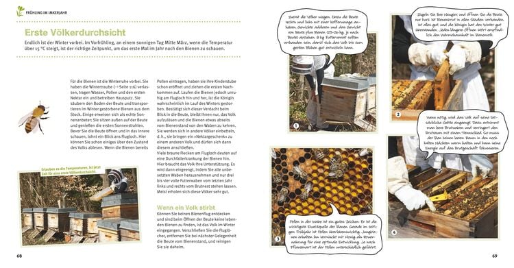 Bienen Basics