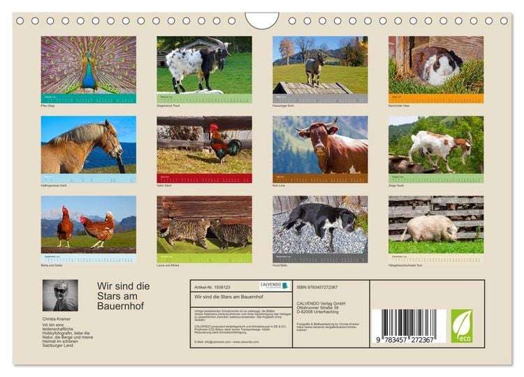 Produktbild: Wir sind die Stars am Bauernhof (Wandkalender 2026 DIN A4 quer), CALVENDO Monatskalender