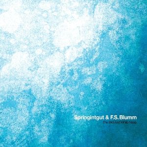 Produktbild: Springintgut/Blumm, F: Bird And White Noise