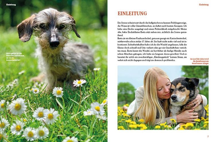 Produktbild: Hunde-Rentner