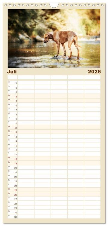 Produktbild: Familienplaner 2026 - Rhodesian Ridgeback - Herzen auf vier Pfoten mit 5 Spalten (Wandkalender, 21 x 45 cm) CALVENDO
