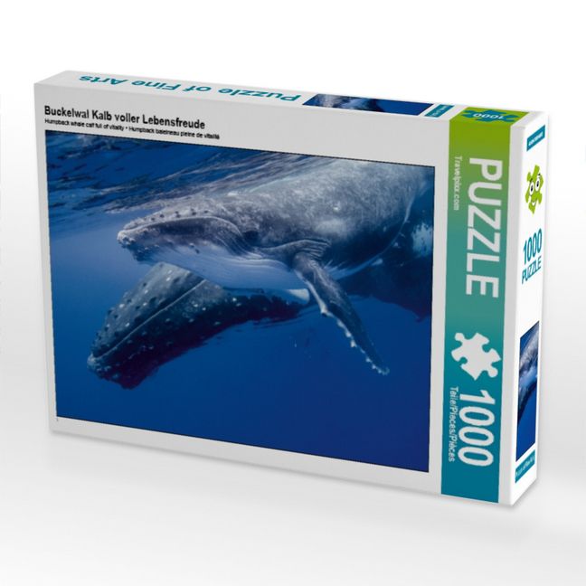 Produktbild: CALVENDO Puzzle Buckelwal Kalb voller Lebensfreude 1000 Teile Puzzle quer | 1000 Teile Lege-Gr&ouml;&szlig;e 64 &times; 48 cm Foto-Puzzle f&uuml;r gl&uuml;ckliche Stunden