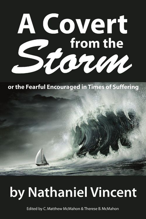 Produktbild: A Covert from the Storm, or the Fearful Encouraged in Times of Suffering