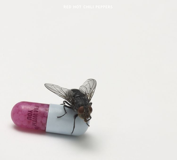 Produktbild: Red Hot Chili Peppers: I'm With You