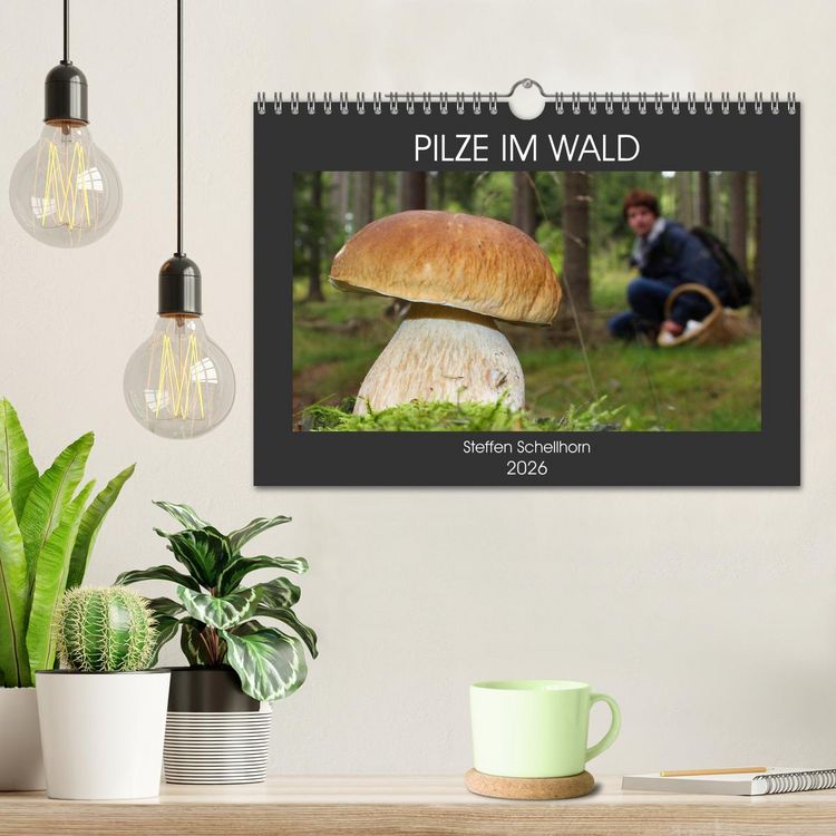 Produktbild: PILZE IM WALD (Wandkalender 2026 DIN A4 quer), CALVENDO Monatskalender