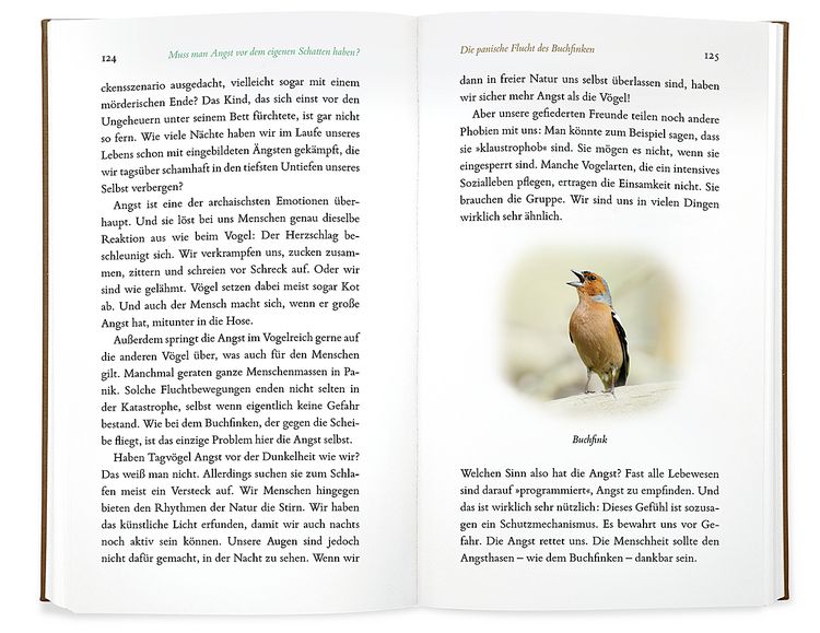 Produktbild: Kleine Philosophie der V&ouml;gel