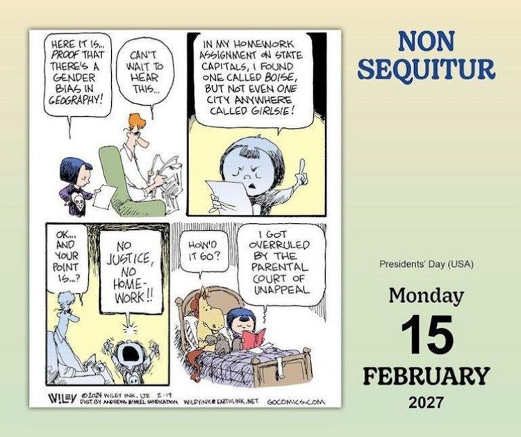Produktbild: Non Sequitur 2027