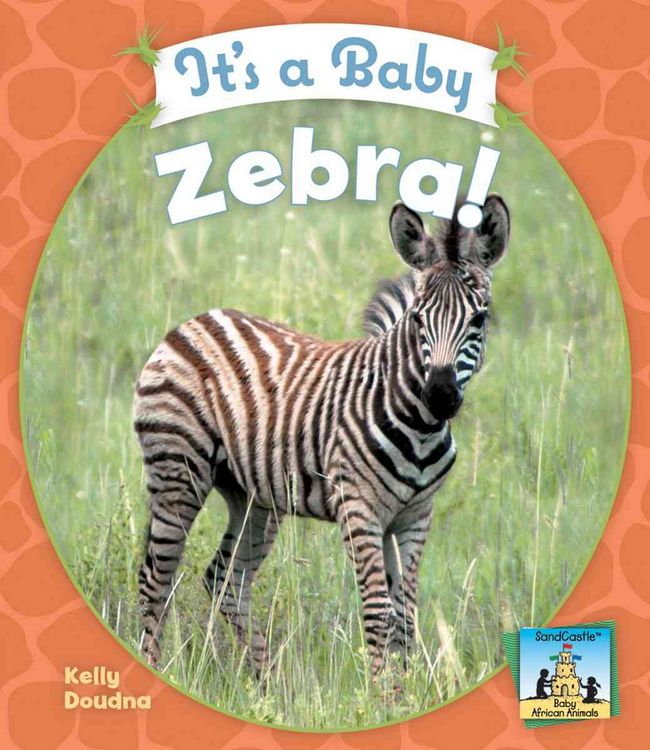 Produktbild: It's a Baby Zebra!