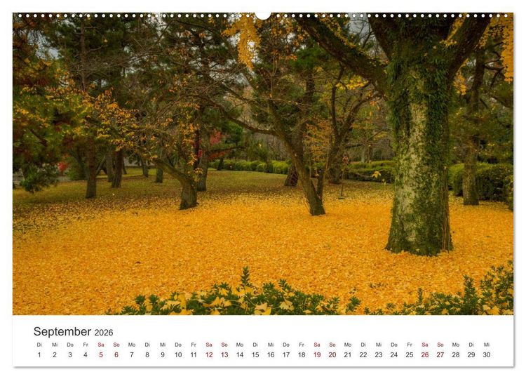 Produktbild: Japanischer Herbst und Laub (Wandkalender 2026 DIN A2 quer), CALVENDO Monatskalender