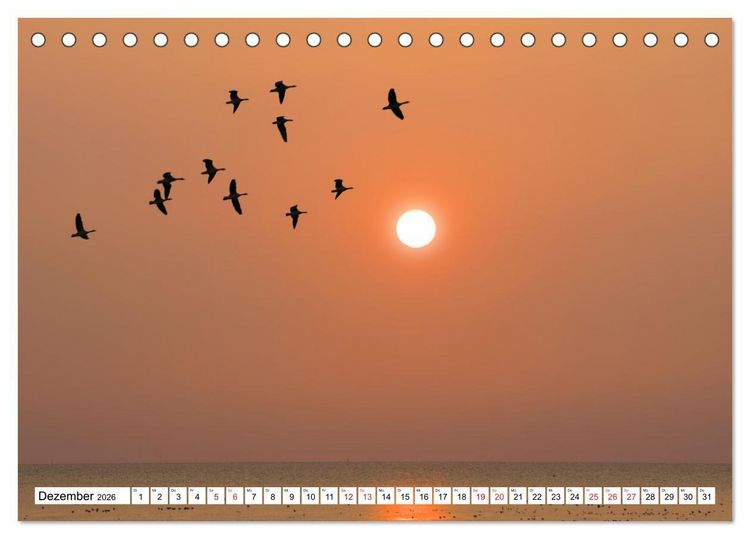 Produktbild: GREETSIEL - Schafe - Krabbenkutter - M&ouml;wen (Tischkalender 2026 DIN A5 quer), CALVENDO Monatskalender