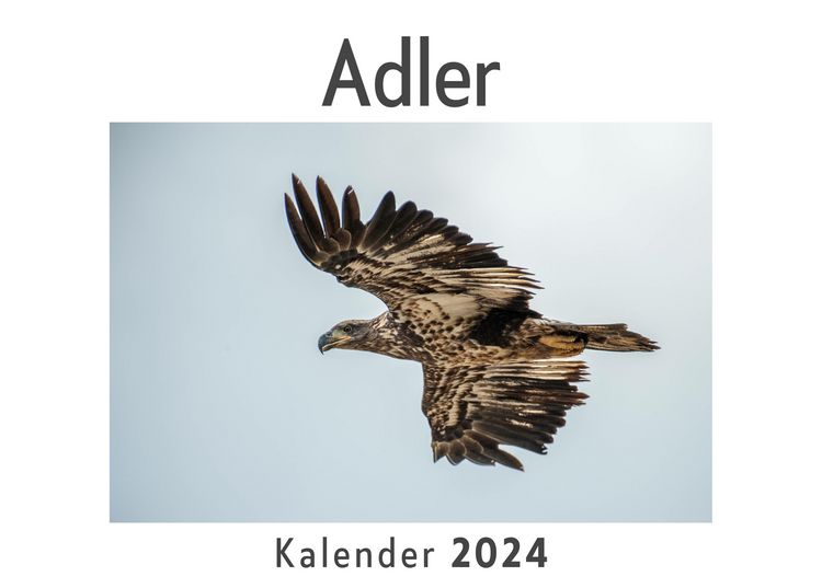 Produktbild: Adler (Wandkalender 2024, Kalender DIN A4 quer, Monatskalender im Querformat mit Kalendarium, Das perfekte Geschenk)