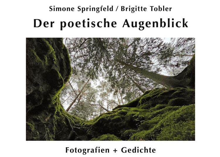 Produktbild: Der poetische Augenblick