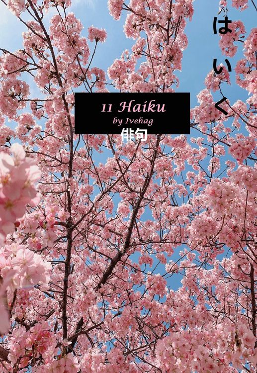 Produktbild: 11 Haiku