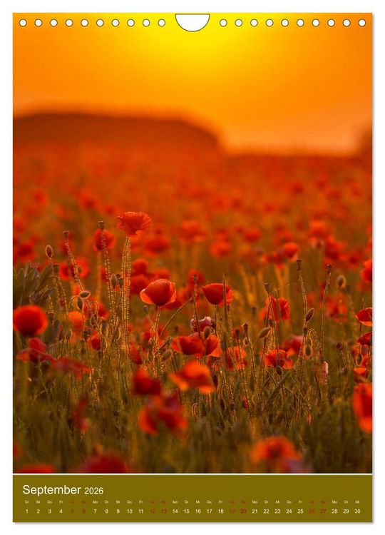 Produktbild: Mohnblumen - kraftvoll und zart (Wandkalender 2026 DIN A4 hoch), CALVENDO Monatskalender