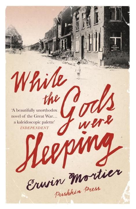 Produktbild: While The Gods Were Sleeping