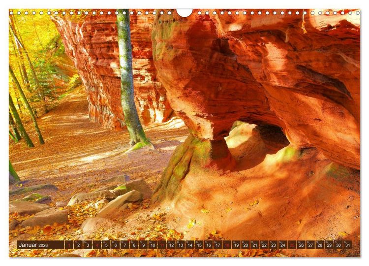 Produktbild: Der Altschlossfelsen - Gr&ouml;&szlig;te Felsformation der Pfalz im herbstlichen Farbspiel (Wandkalender 2026 DIN A3 quer), CALVENDO Monatskalender